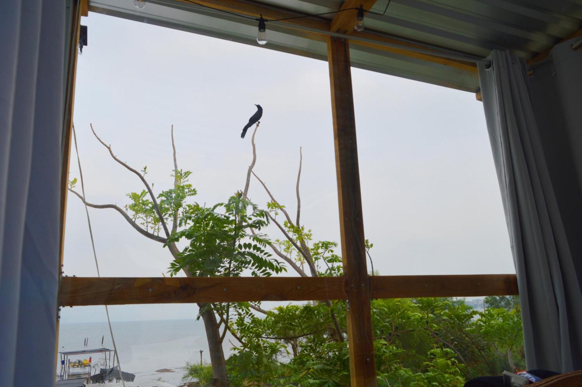 Mundo Abu Holiday park *